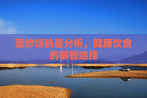蛋炒饭热量分析，健康饮食的明智选择