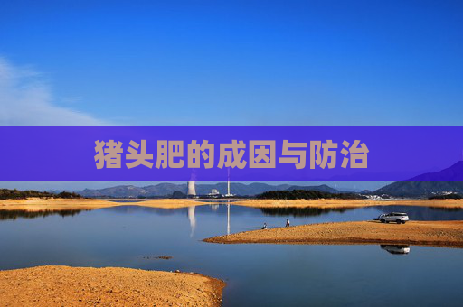 猪头肥的成因与防治