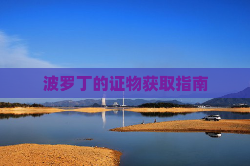 波罗丁的证物获取指南