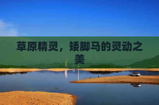 草原精灵，矮脚马的灵动之美