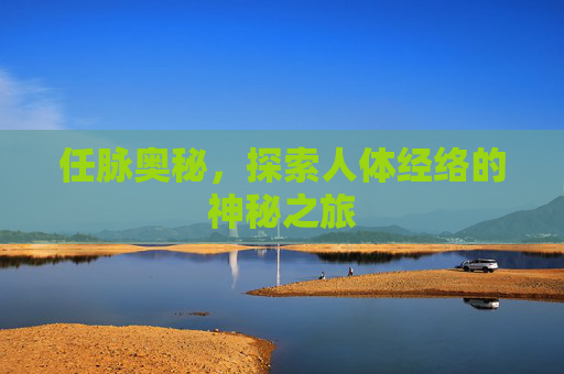 任脉奥秘，探索人体经络的神秘之旅