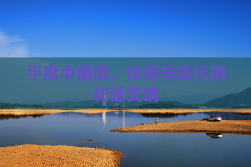 平度中医院，传统与现代的和谐交响
