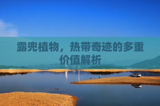 露兜植物，热带奇迹的多重价值解析