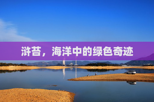 浒苔，海洋中的绿色奇迹