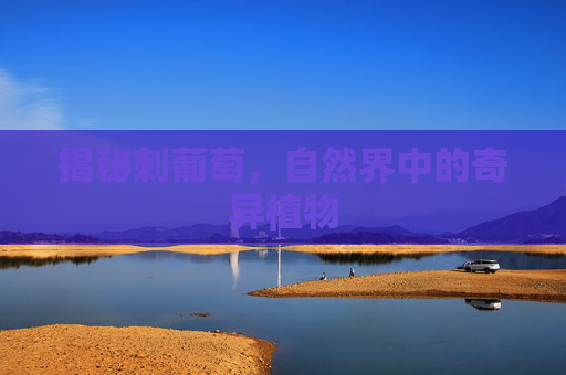 揭秘刺葡萄，自然界中的奇异植物
