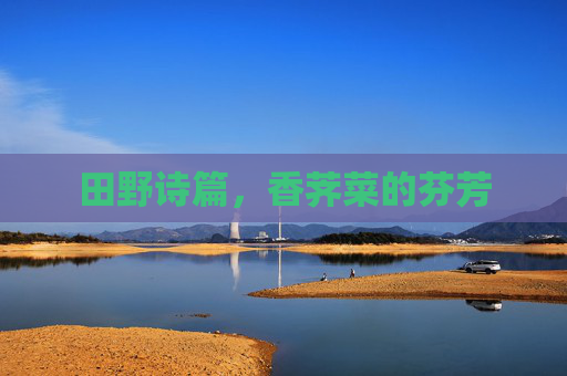 田野诗篇，香荠菜的芬芳