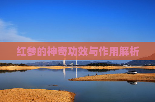 红参的神奇功效与作用解析