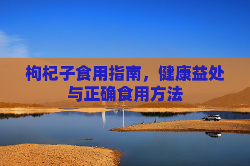 枸杞子食用指南，健康益处与正确食用方法