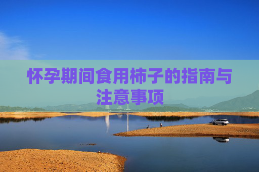 怀孕期间食用柿子的指南与注意事项