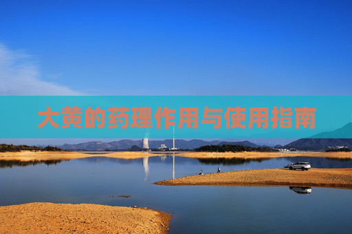 大黄的药理作用与使用指南