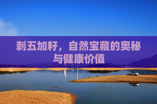 刺五加籽，自然宝藏的奥秘与健康价值