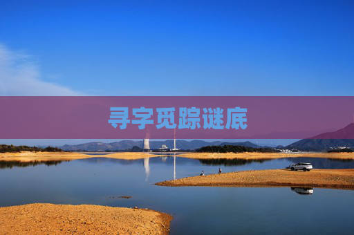 寻字觅踪谜底