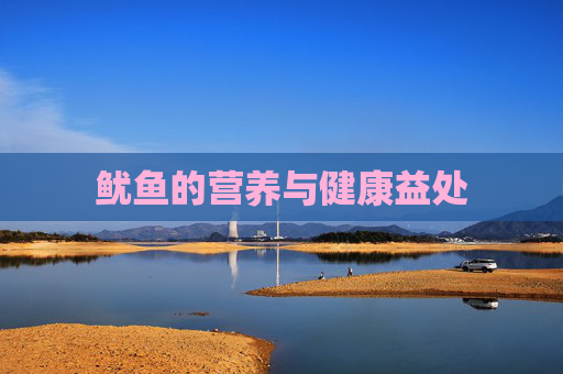 鱿鱼的营养与健康益处