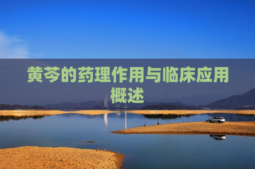 黄芩的药理作用与临床应用概述