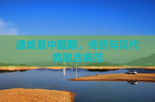 通城县中医院，传统与现代的融合典范
