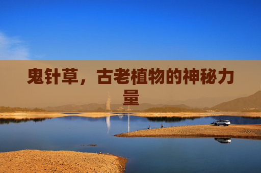 鬼针草，古老植物的神秘力量