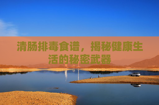 清肠排毒食谱，揭秘健康生活的秘密武器