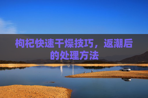 枸杞快速干燥技巧，返潮后的处理方法