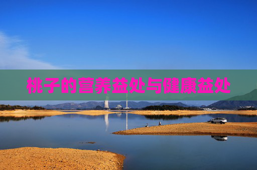 桃子的营养益处与健康益处