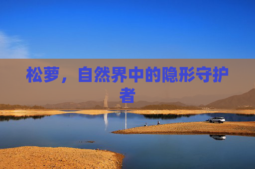 松萝，自然界中的隐形守护者