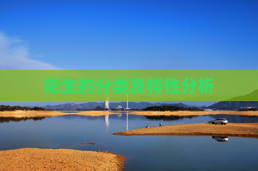 花生的分类及特性分析