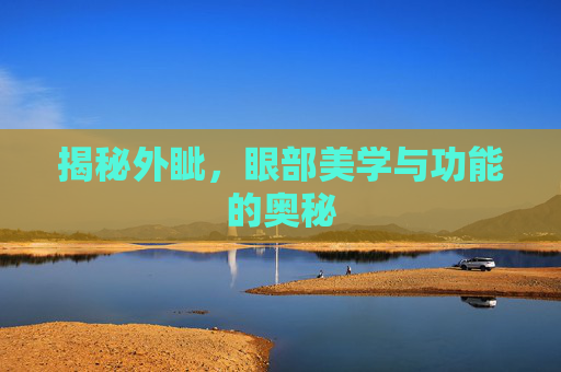 揭秘外眦，眼部美学与功能的奥秘