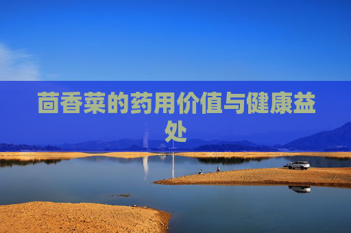 茴香菜的药用价值与健康益处