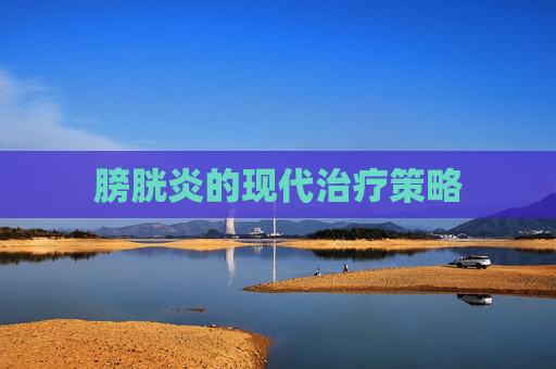膀胱炎的现代治疗策略