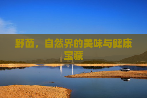 野菌，自然界的美味与健康宝藏