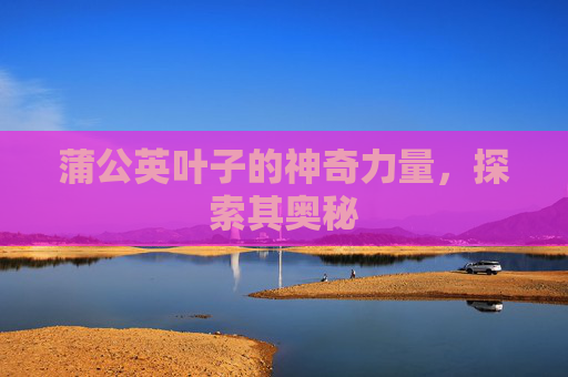 蒲公英叶子的神奇力量，探索其奥秘