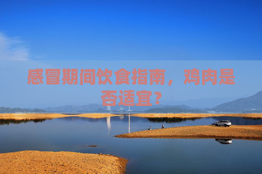 感冒期间饮食指南，鸡肉是否适宜？