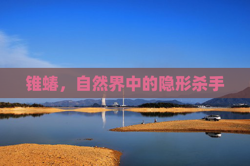 锥蝽，自然界中的隐形杀手