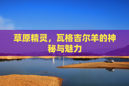 草原精灵，瓦格吉尔羊的神秘与魅力