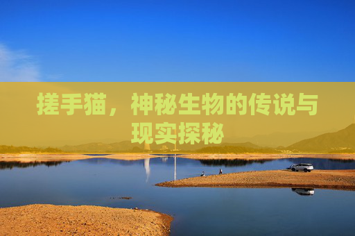 搓手猫，神秘生物的传说与现实探秘