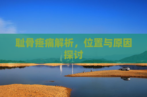 耻骨疼痛解析，位置与原因探讨