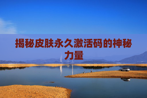 揭秘皮肤永久激活码的神秘力量
