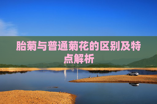 胎菊与普通菊花的区别及特点解析