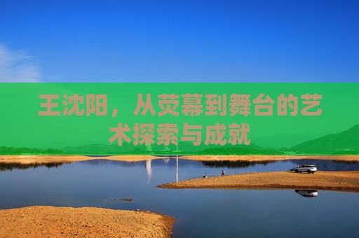 王沈阳，从荧幕到舞台的艺术探索与成就