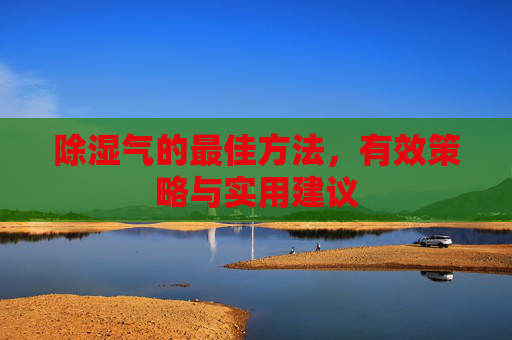 除湿气的最佳方法，有效策略与实用建议