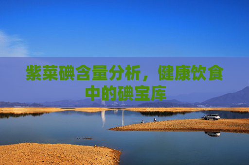紫菜碘含量分析，健康饮食中的碘宝库
