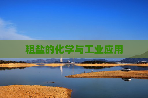 粗盐的化学与工业应用