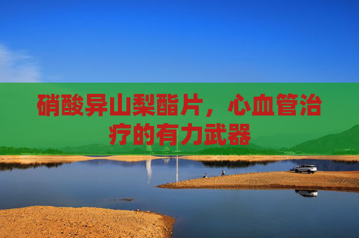 硝酸异山梨酯片，心血管治疗的有力武器