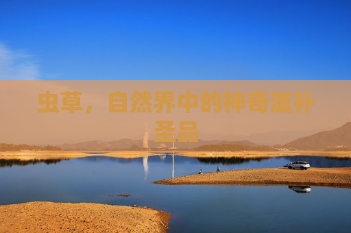 虫草,自然界中的神奇滋补圣品 虫草,自然界中的神奇滋补圣品