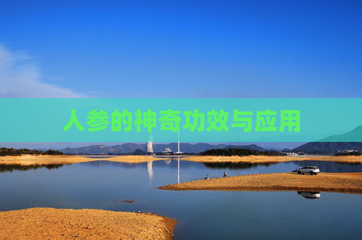 人参的神奇功效与应用