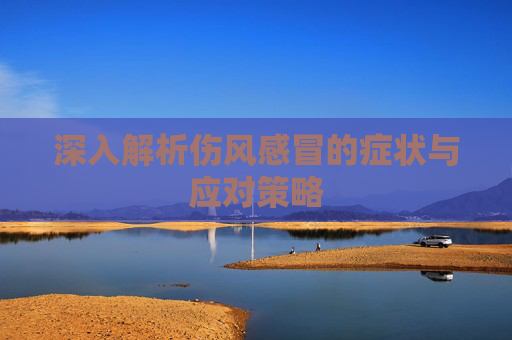 深入解析伤风感冒的症状与应对策略 深入解析伤风感冒的症状与应对策略