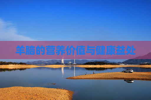 羊脑的营养价值与健康益处