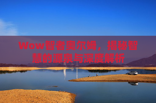 Wow智者奥尔姆，揭秘智慧的源泉与深度解析