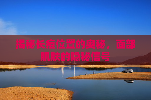 揭秘长痘位置的奥秘，面部肌肤的隐秘信号