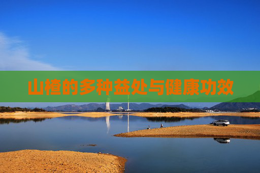 山楂的多种益处与健康功效