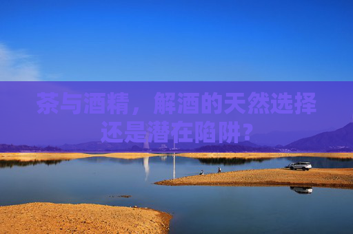 茶与酒精，解酒的天然选择还是潜在陷阱？